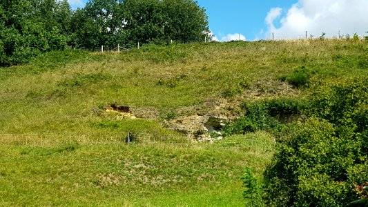 Bemelen-Gasthuisdelgroeve II (oost) (5)