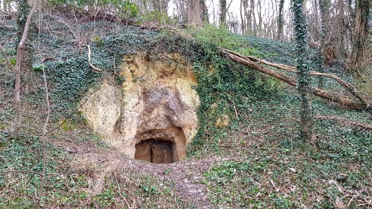Bemelen-Bemelerbosgroeve II (12)