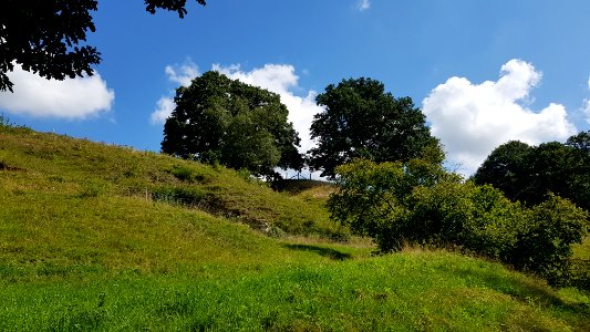 Bemelen-Gasthuisdelgroeve II (oost) (1)