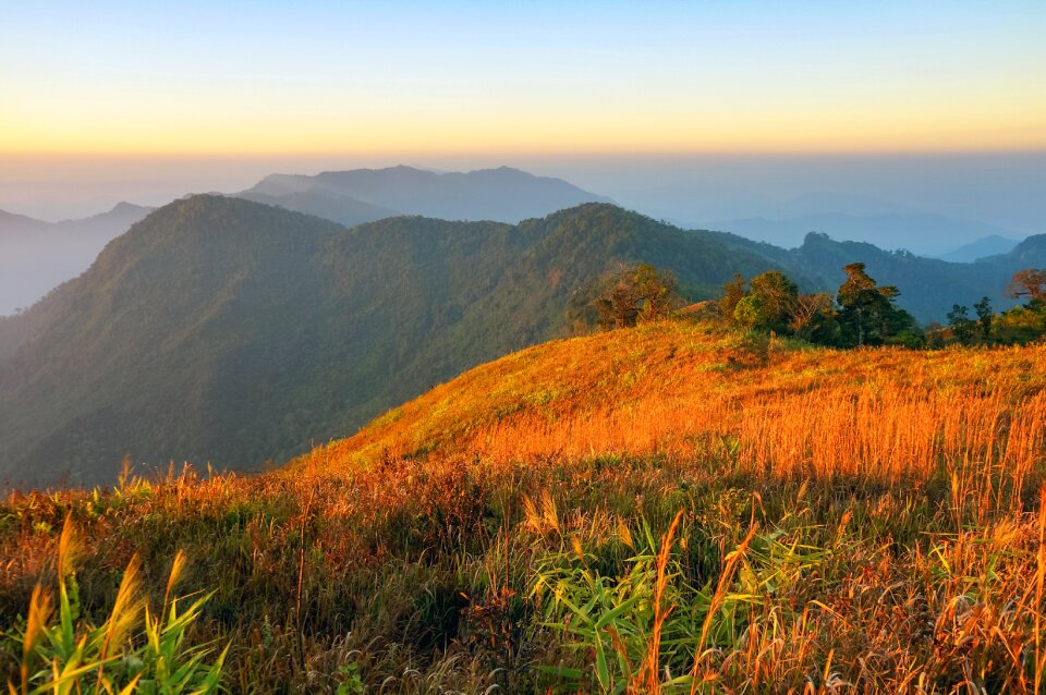 Nature landscape sun