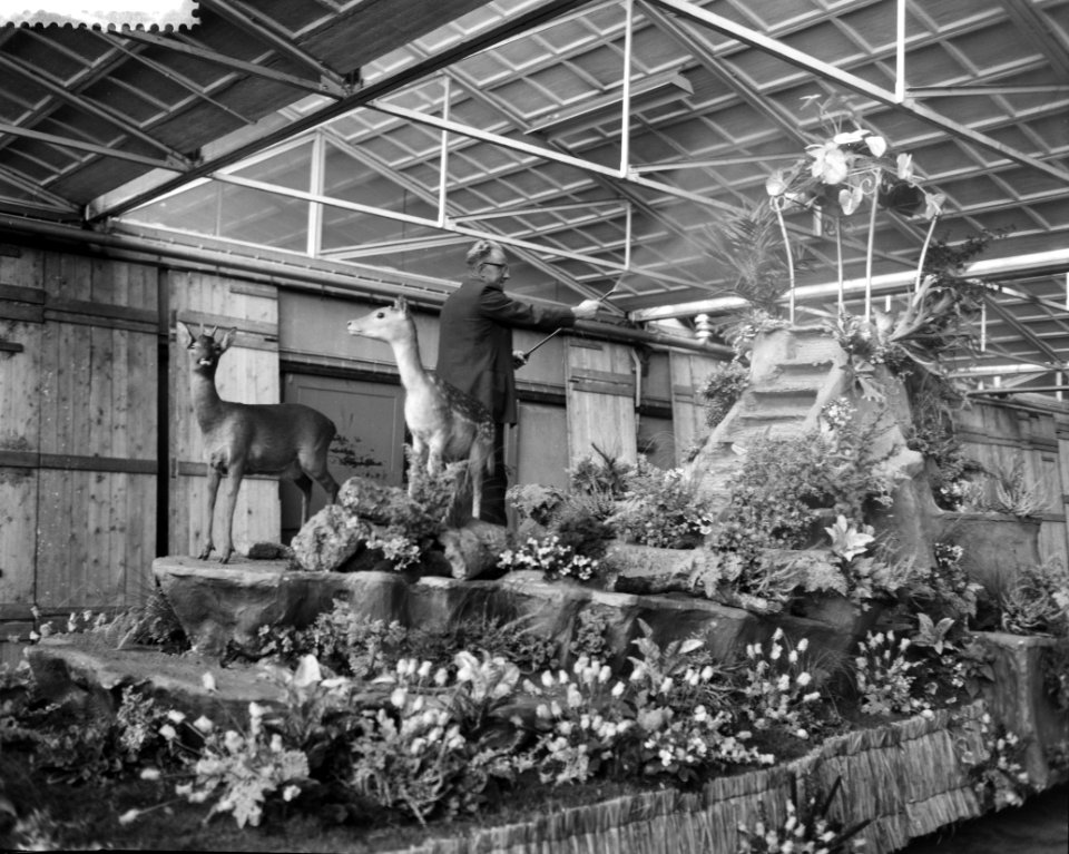 Belgische Dag op Floriade, wagens worden opgesierd in de Aalsmeerder veilinghall, Bestanddeelnr 911-5567
