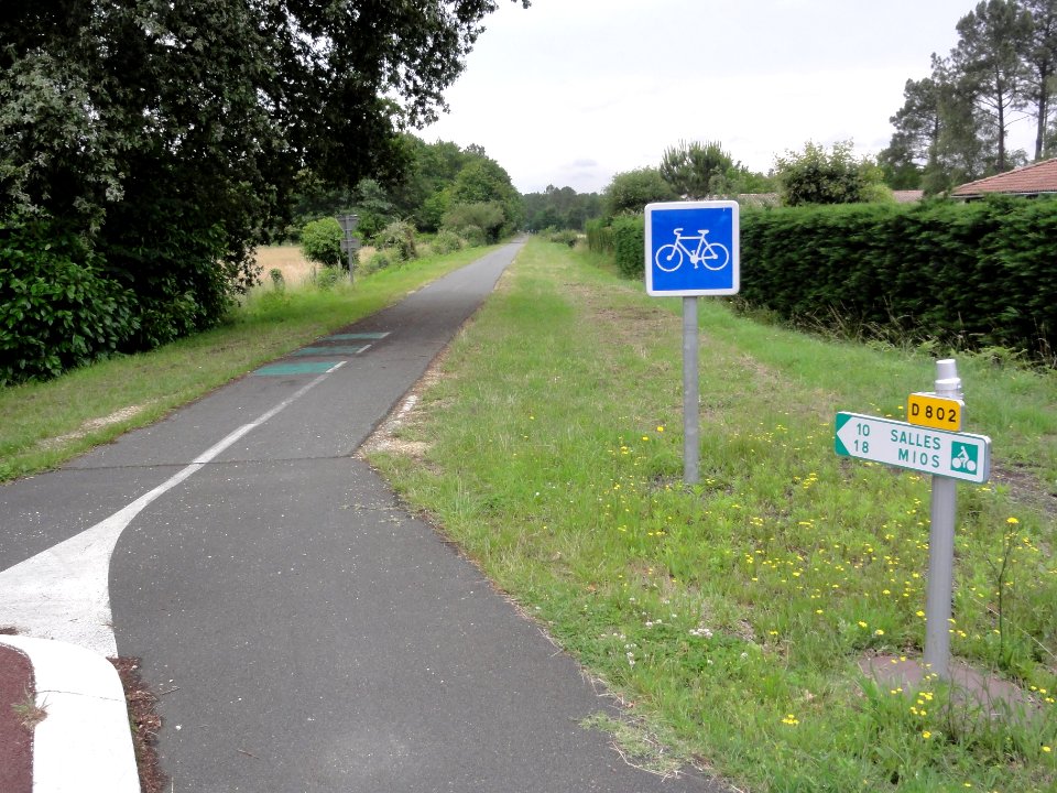 Belin-Béliet (Gironde) piste cyclable 01