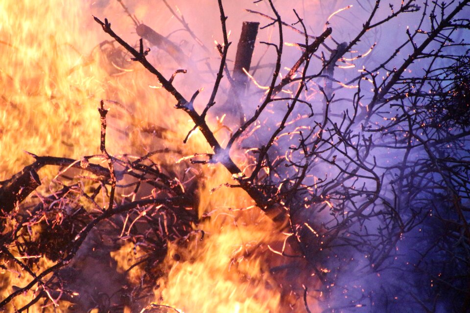 Campfire burn flame