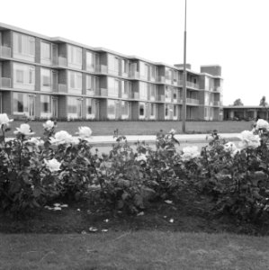 Bejaardenflats, tuinen, Bestanddeelnr 165-0272