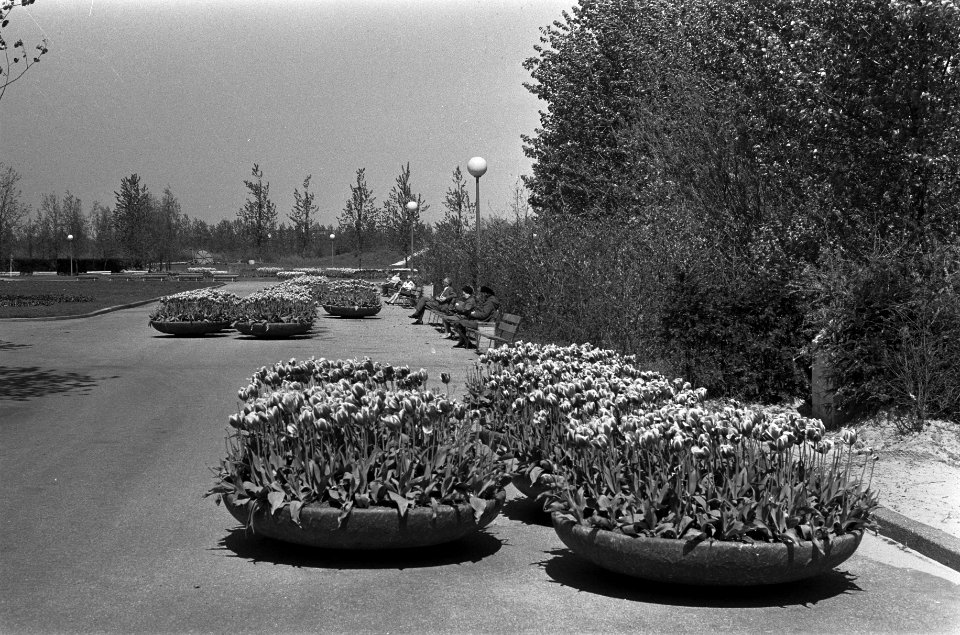 Belgisch paviljoen op voormalige Floriade overgedragen aa Amsterdam in aanwezigh, Bestanddeelnr 926-4168