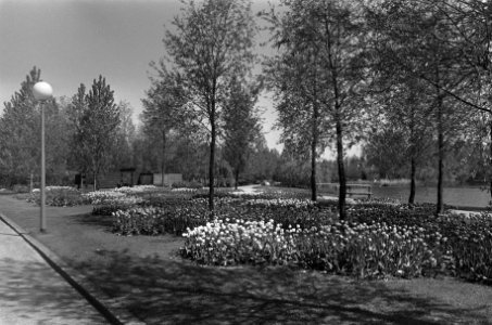 Belgisch paviljoen op voormalige Floriade overgedragen aan Amsterdam in aanwezig, Bestanddeelnr 926-4167