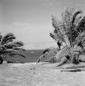 Beit yerah Panorama met gezicht op het Meer van Tiberias met omliggende heuvels, Bestanddeelnr 255-4129