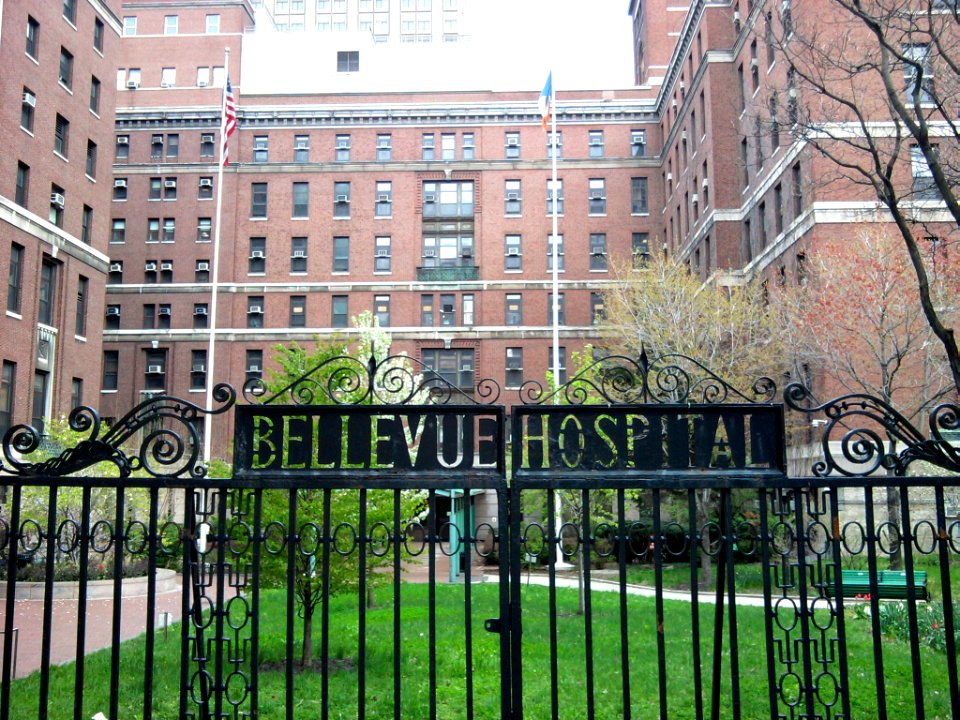 Bellevue Hospital front gate jeh