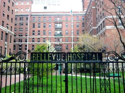 Bellevue Hospital front gate jeh