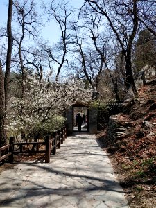 Beijing Botanical Garden adorned by sea of flowers4