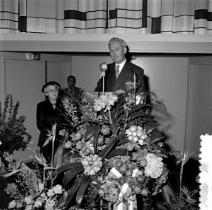 Beijenkorf in Rotterdam (opening), Bestanddeelnr 908-4210