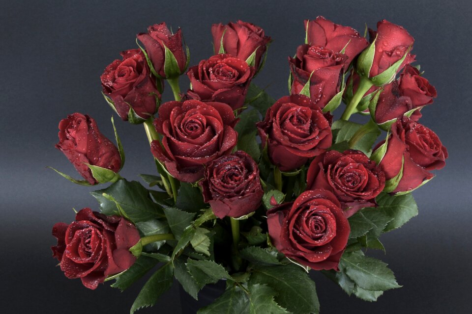 Bouquet strauss flowers