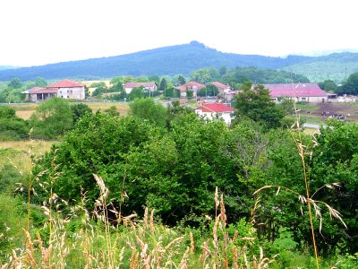 Beluntza (Urkabustaiz) 6