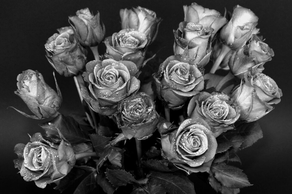 Bouquet strauss flowers