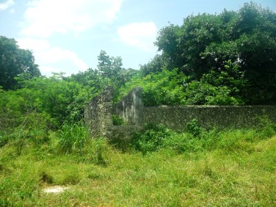 Bella Flor (Kinchil), Yucatán (03)