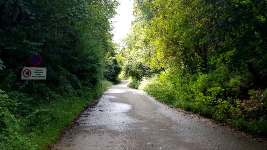 Bemelen-ingang Groeve 't Rooth (3)