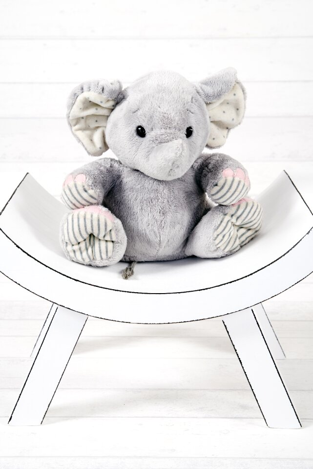 Sitting toy studio