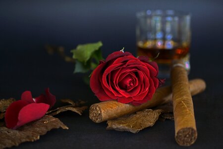 Tobacco leaves whiskey glass whisky