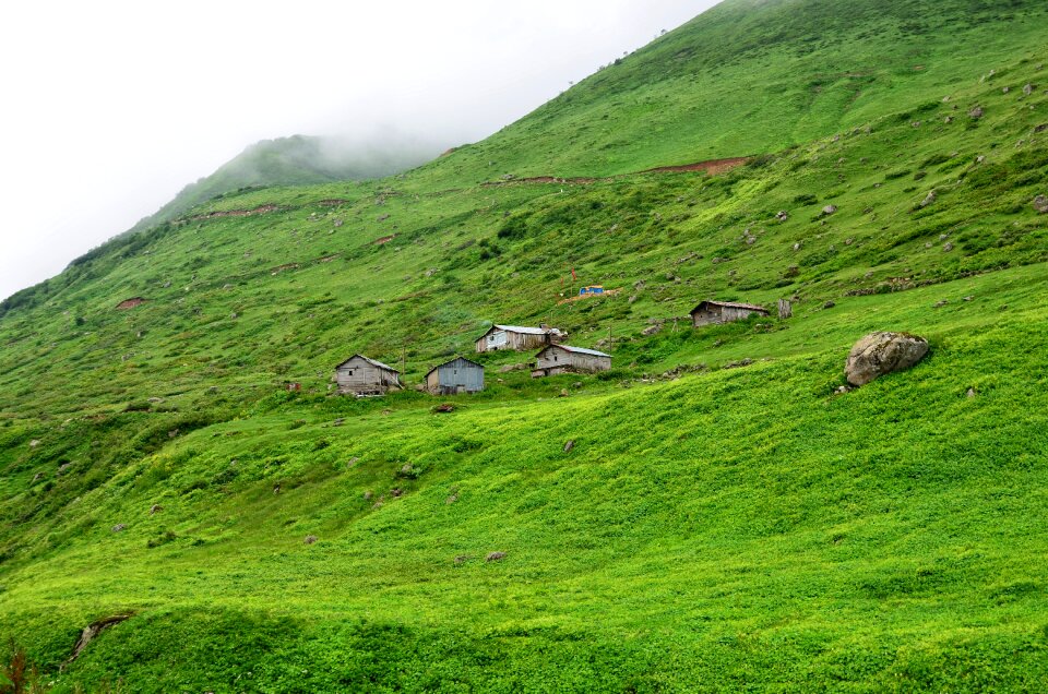 Nature green kaçkars