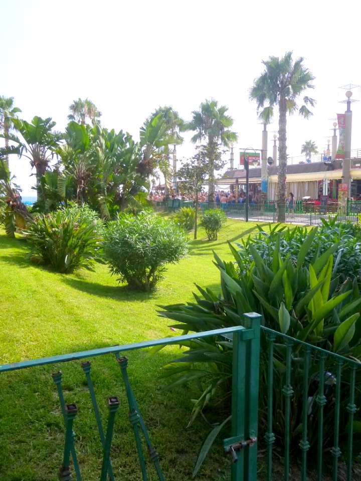 Benidorm - Avenida de Filipinas 3