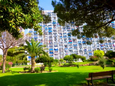 Benidorm - Avenida de Suecia 6-8 (5)