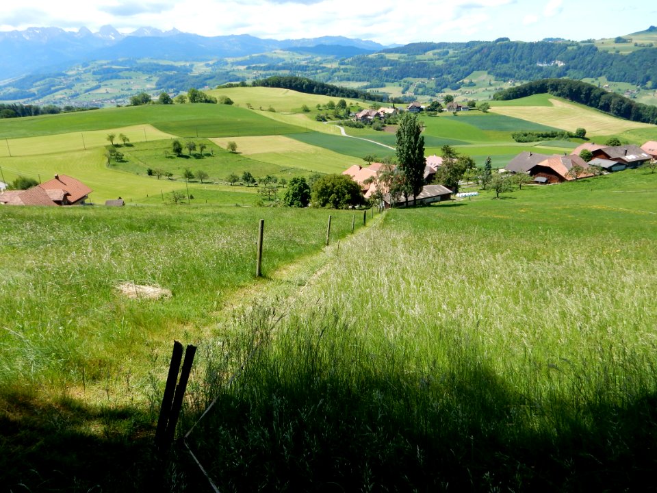 Belpberg Hofstetten Eggenhorn