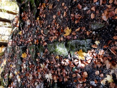 Belp - Burgruine Hohburg 04