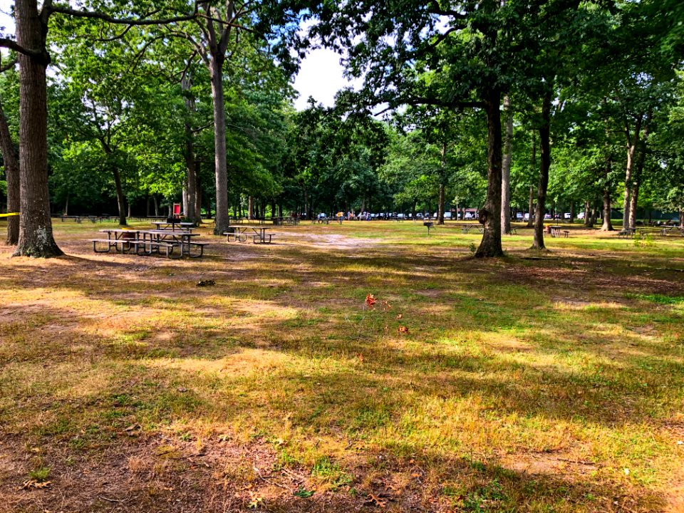 Belmont Lake State Park Picnic area in Summer