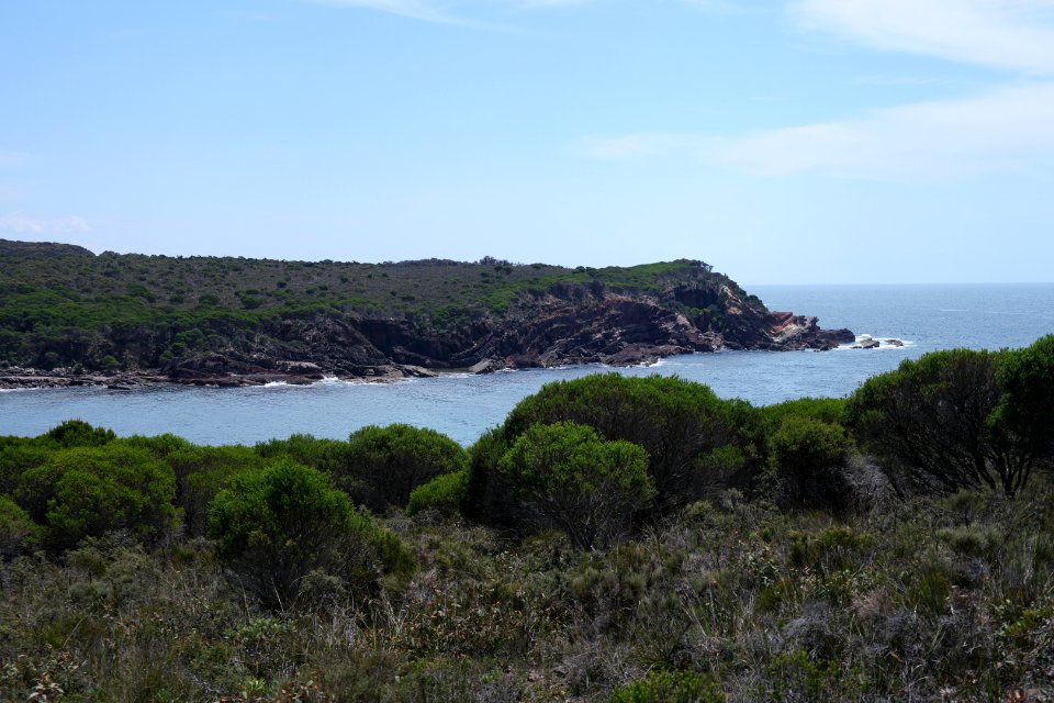 Ben Boyd National Park, New South Wales 22
