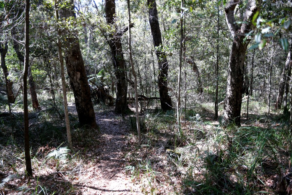 Ben Boyd National Park, New South Wales 48