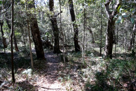 Ben Boyd National Park, New South Wales 48