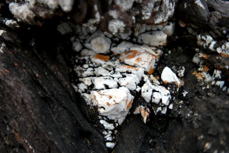 Ben Boyd National Park, New South Wales 44