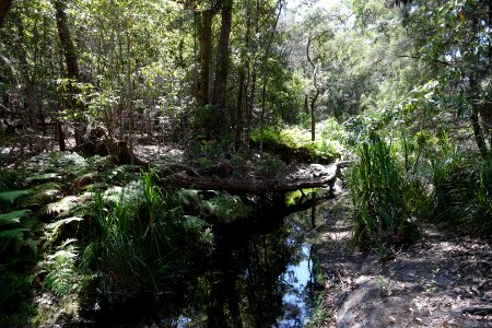 Ben Boyd National Park, New South Wales 49