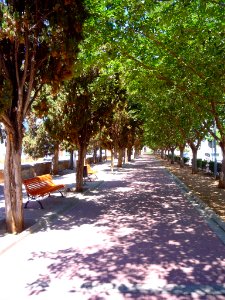 Benetússer - Passeig del Calvari 2