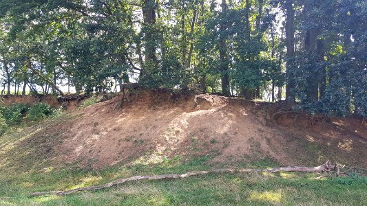 Bemelen-Grindgroeve Krekelberg (5)