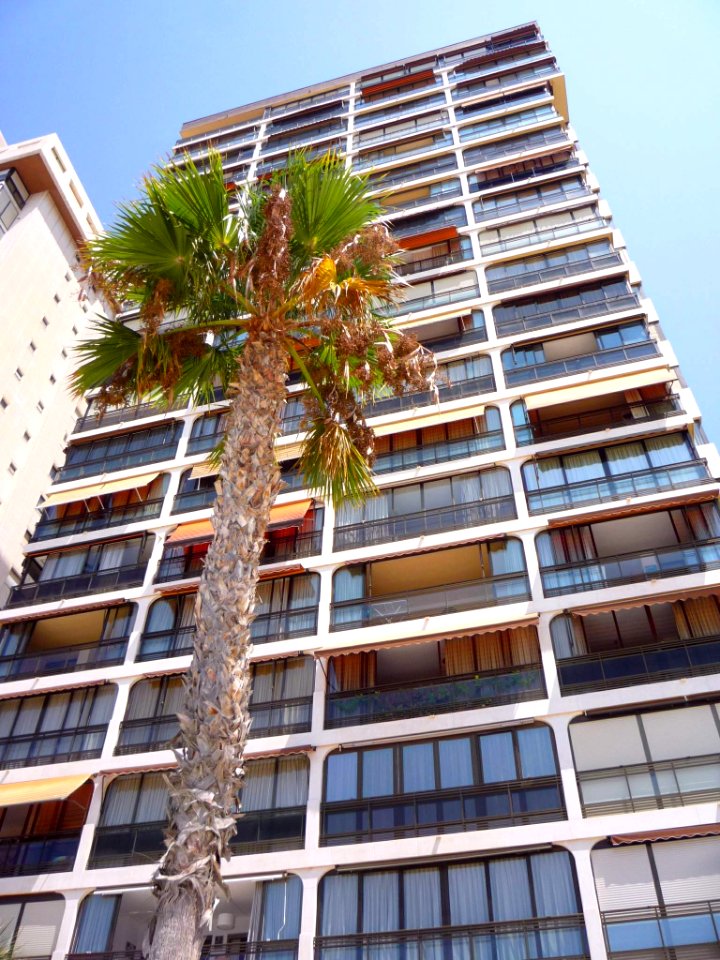 Benidorm - Edificio El Cachirulo 2