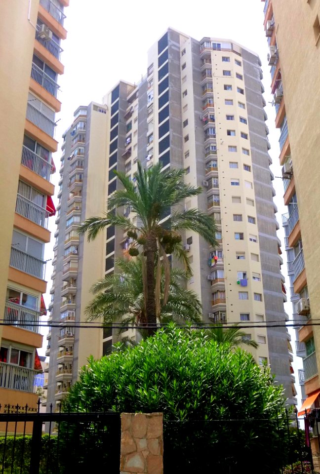 Benidorm - Edificio Don Miguel I (1)