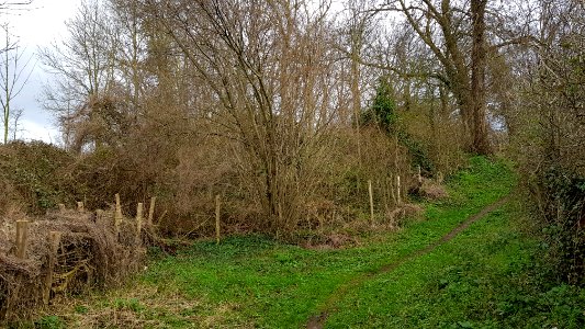 Bemelen-Groeve Onder de weg (3)