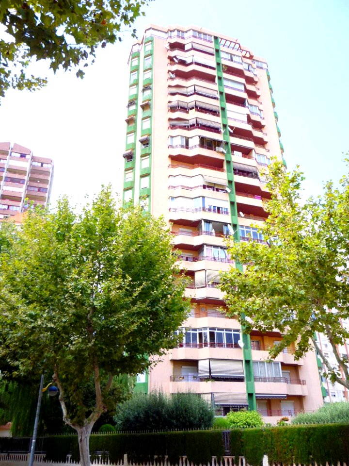 Benidorm - Edificio en Los Olivos, 14