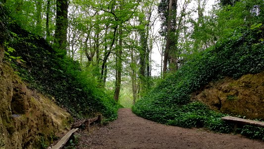 Bemelen-Mariagrot (23)