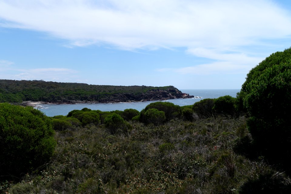 Ben Boyd National Park, New South Wales 23