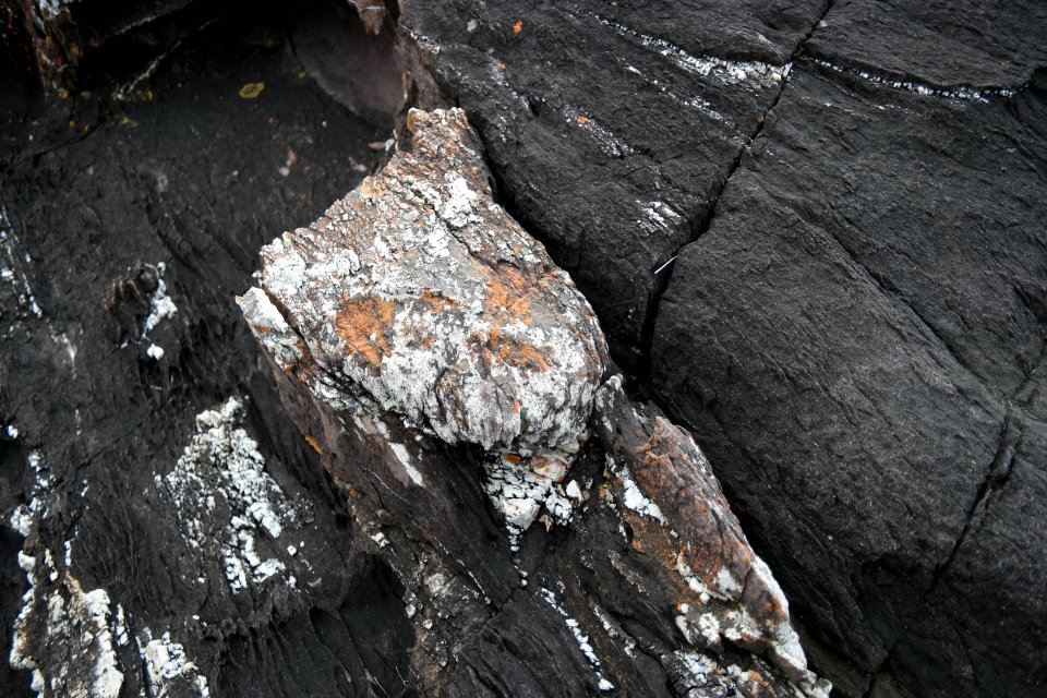 Ben Boyd National Park, New South Wales 43