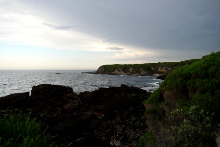 Ben Boyd National Park, New South Wales 36