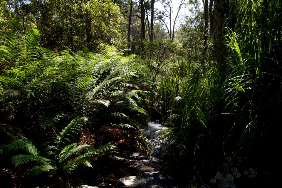 Ben Boyd National Park, New South Wales 50