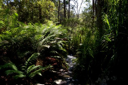 Ben Boyd National Park, New South Wales 50