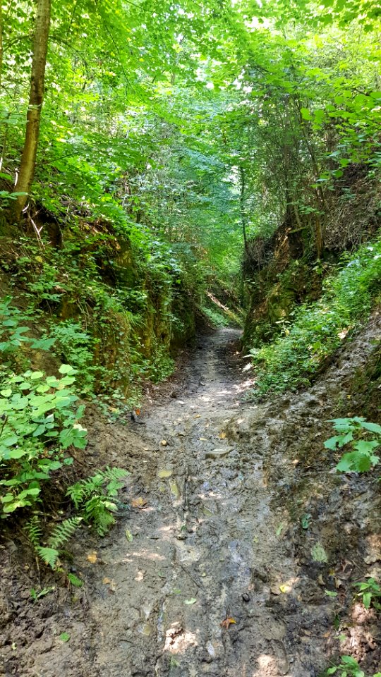 Bemelen-holle weg Bemelen-Gasthuis (1)