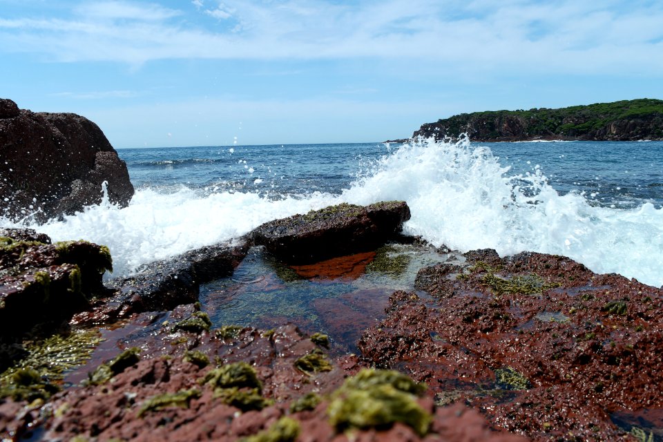 Ben Boyd National Park, New South Wales 19