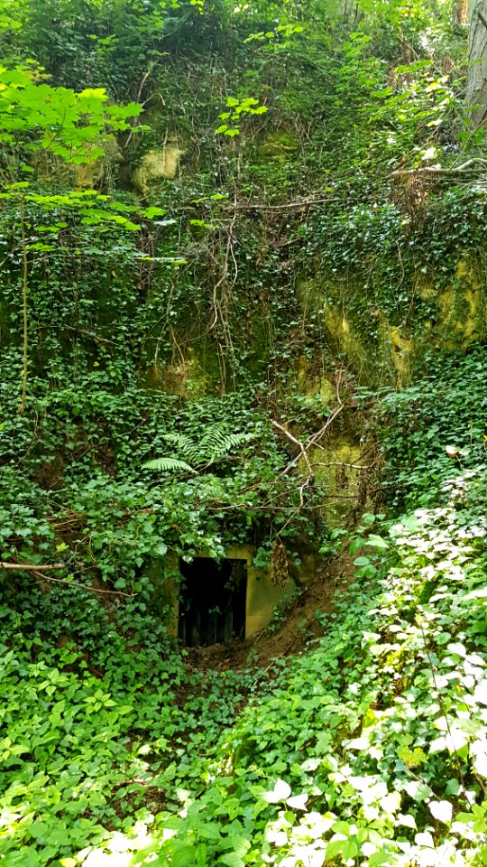 Bemelen-Nevenkoelebosgroeve (3)