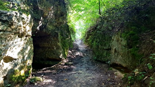 Bemelen-holle weg Bemelen-Gasthuis (8)