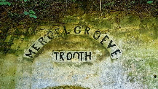 Bemelen-Roothergroeve (4)